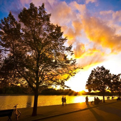 1920 x 1080 HD Wallpapers 2429